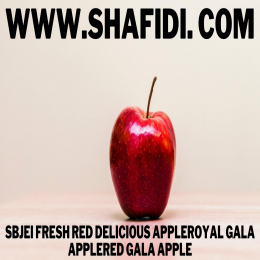 FRESH RED DELICIOUS APPLEROYAL GALA